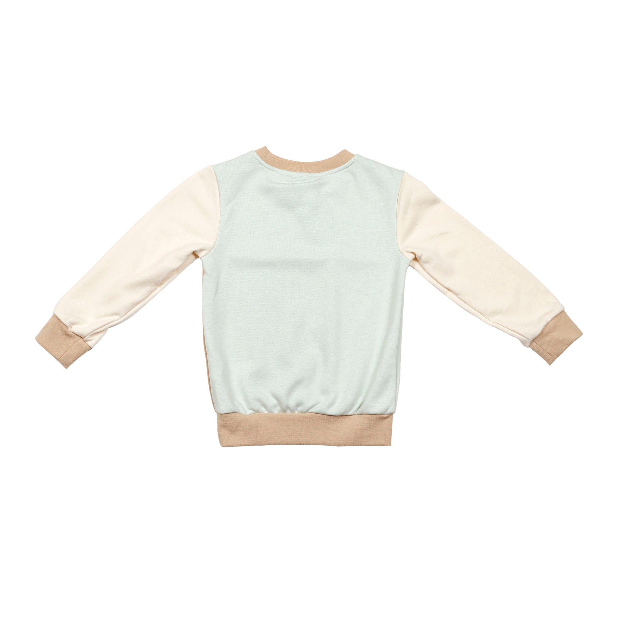 Conjunto Adidas Colorblock 