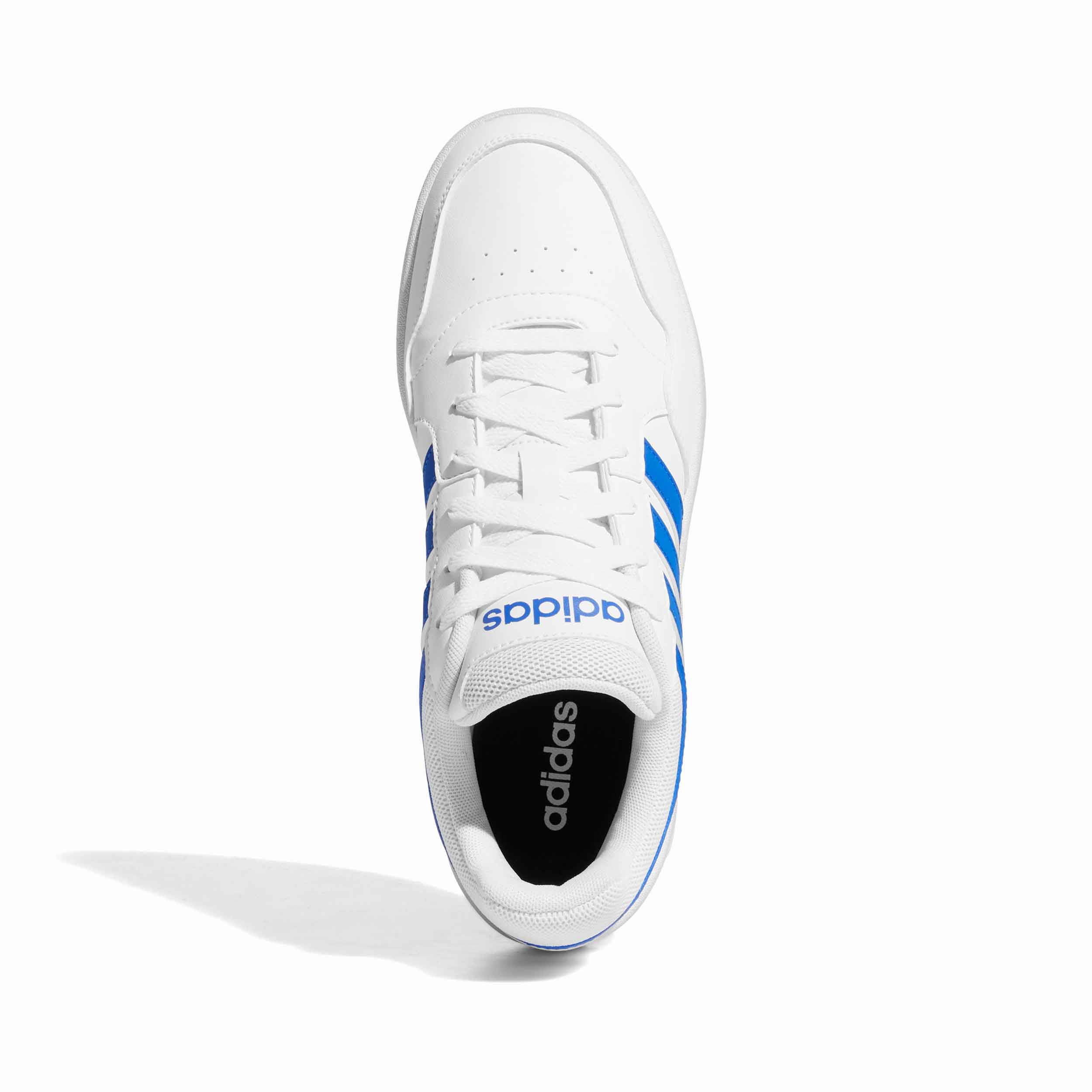 Tenis Adidas HOOPS Hombre