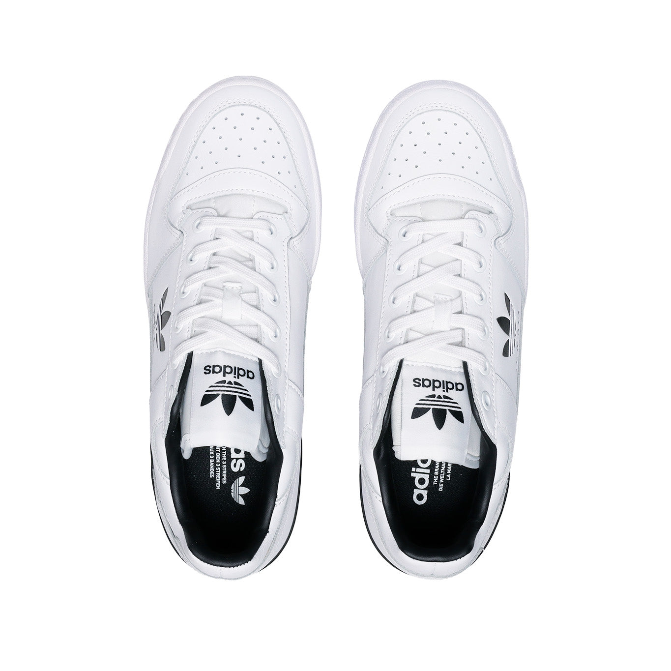 Tenis Adidas Forum Bold