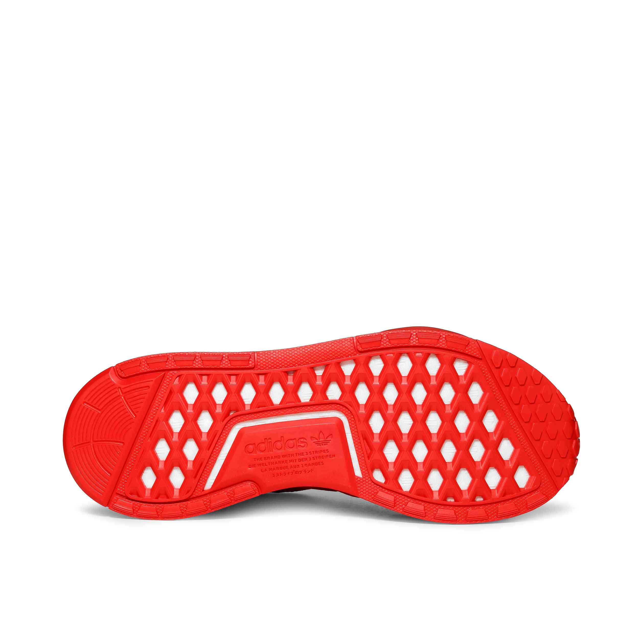 Tenis Adidas Hombre