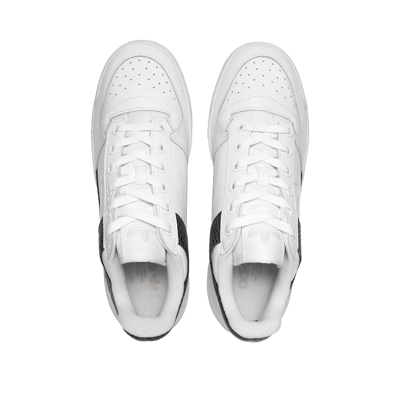 Tenis Adidas Forum Bold
