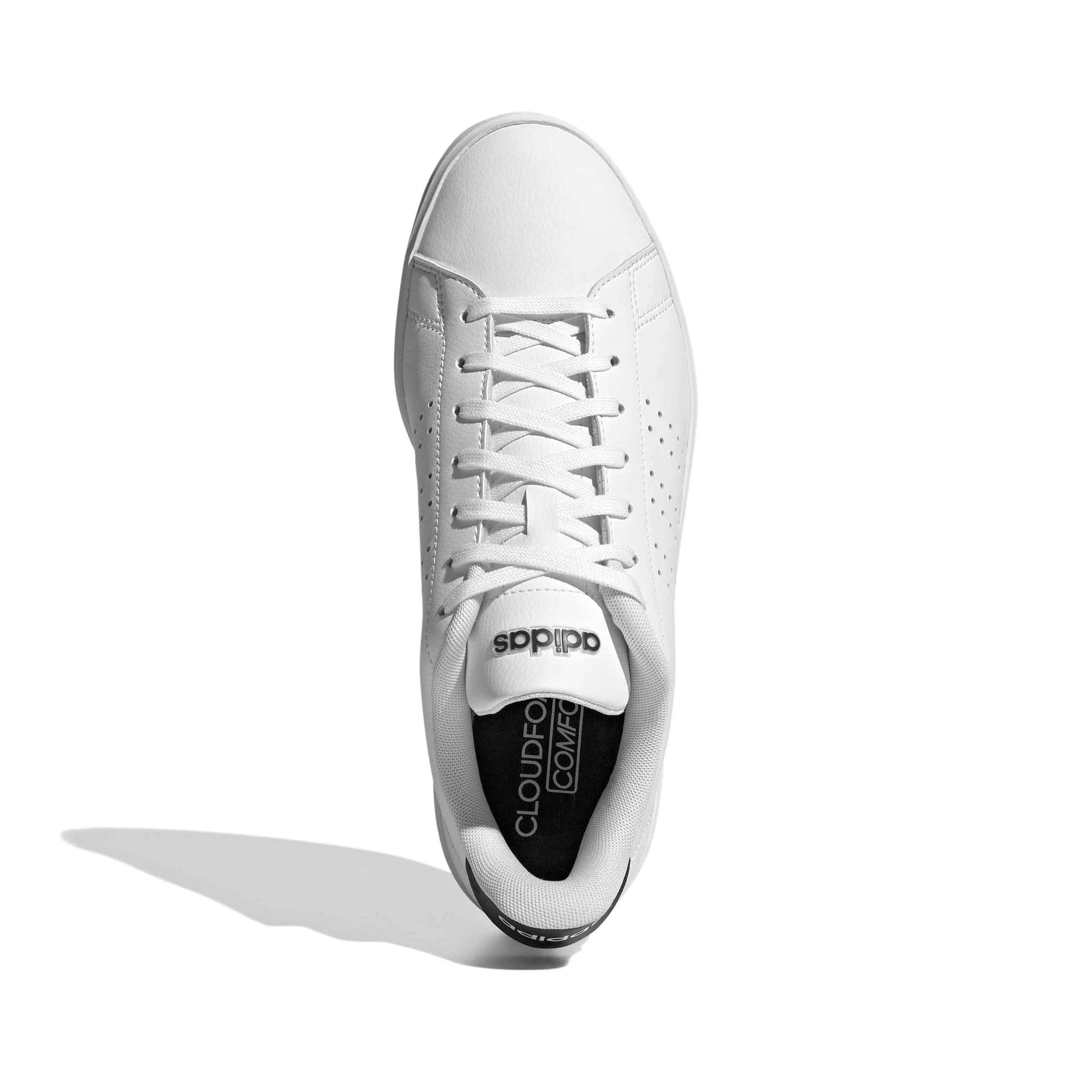 Tenis Adidas Advantage Hombre