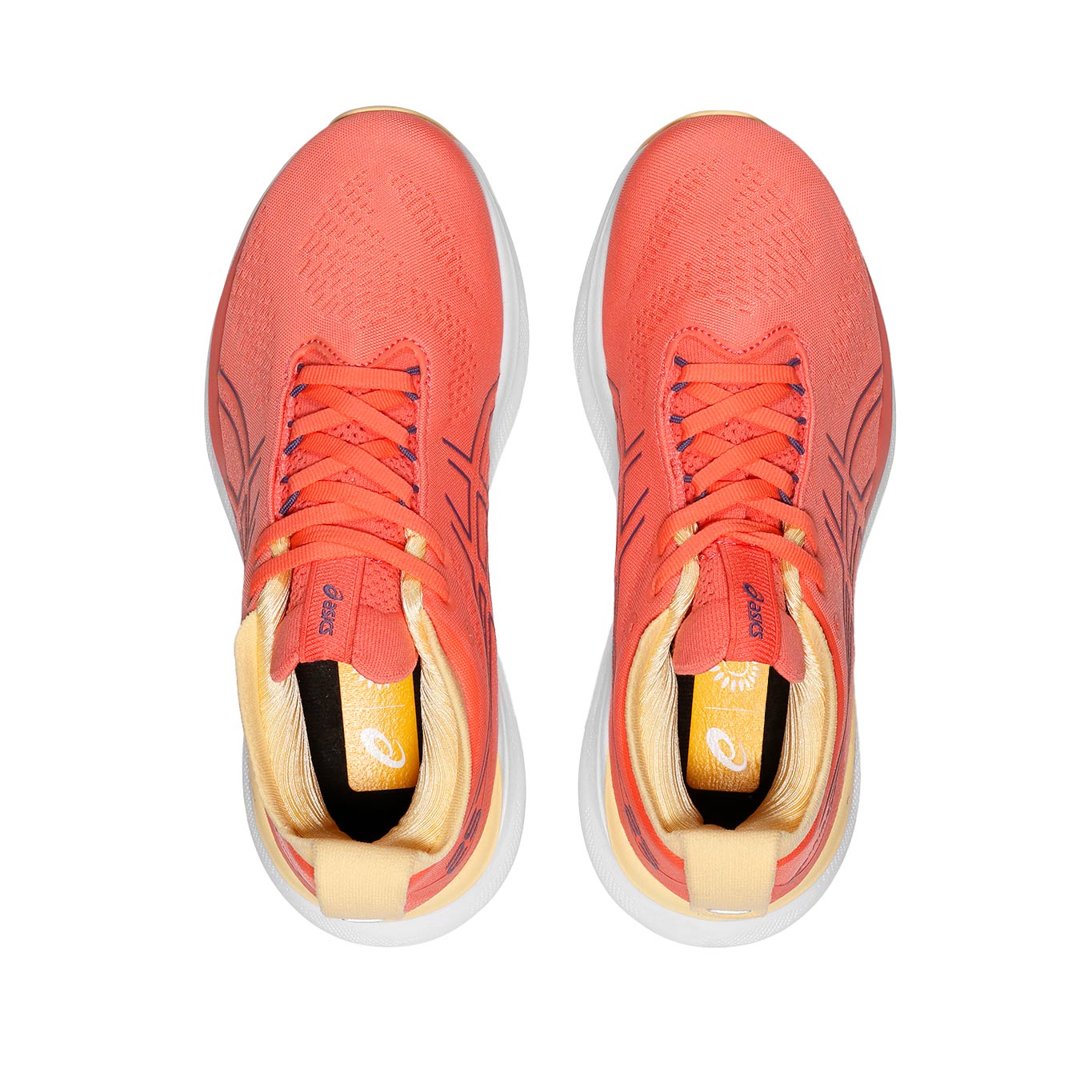 Tenis Asics Gel-Nimbus 25