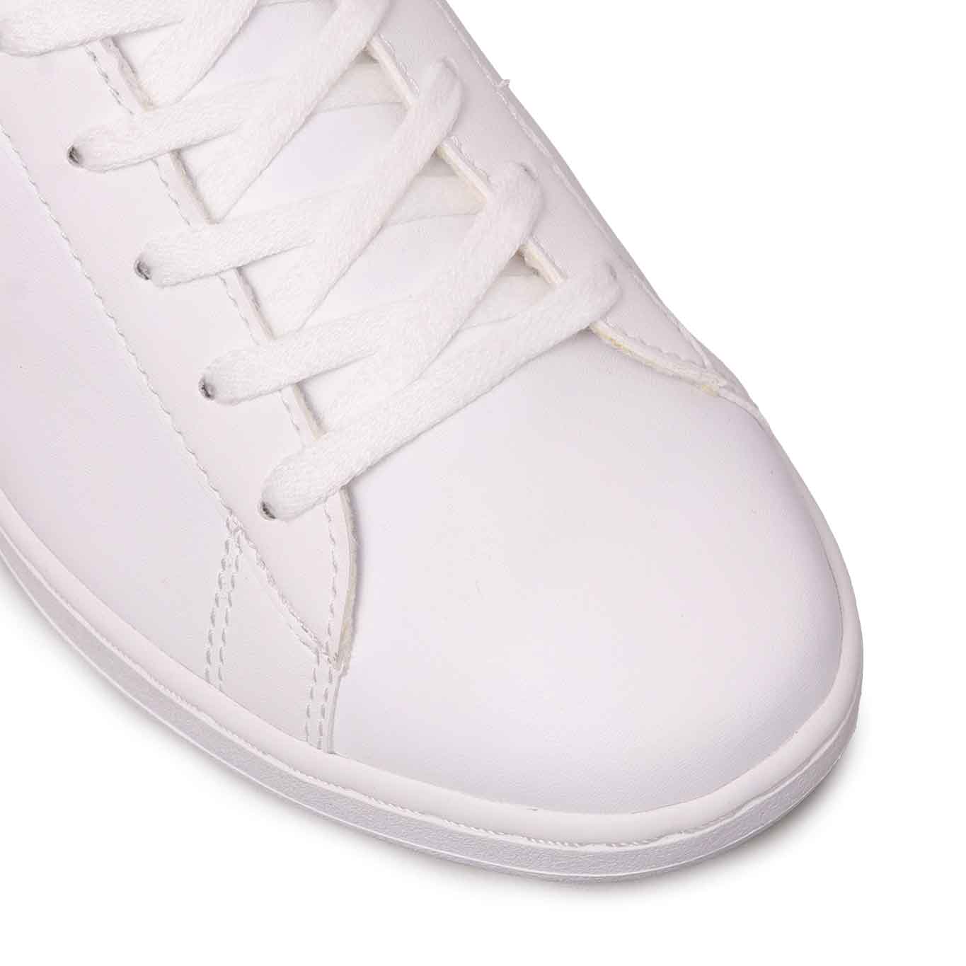 Tenis Lacosate Carnaby Evo
