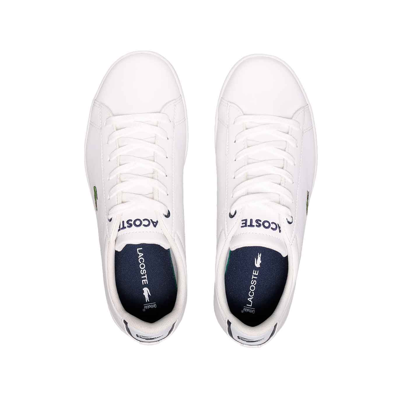 Tenis Lacosate Carnaby Evo