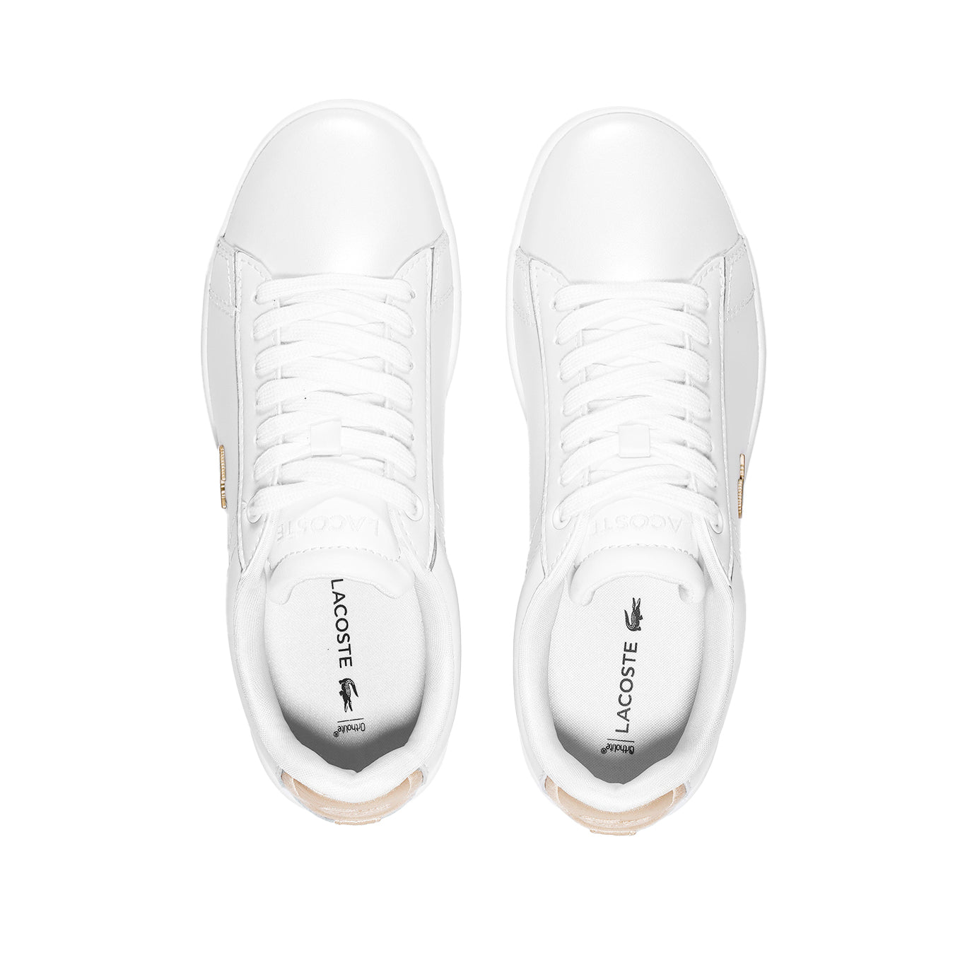 Tenis Lacoste Carnaby Evo