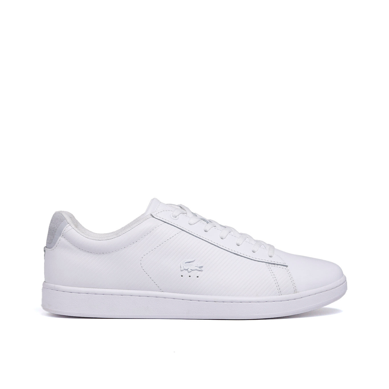 Tenis lacoste 2024 evo carnaby