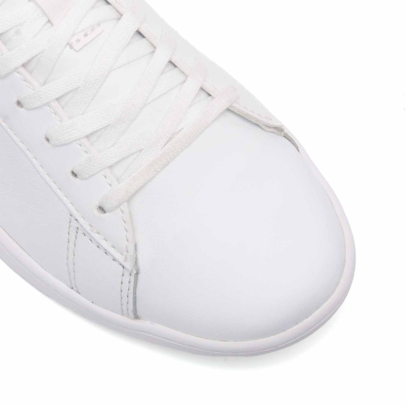 Tenis Lacoste Carnaby Evo