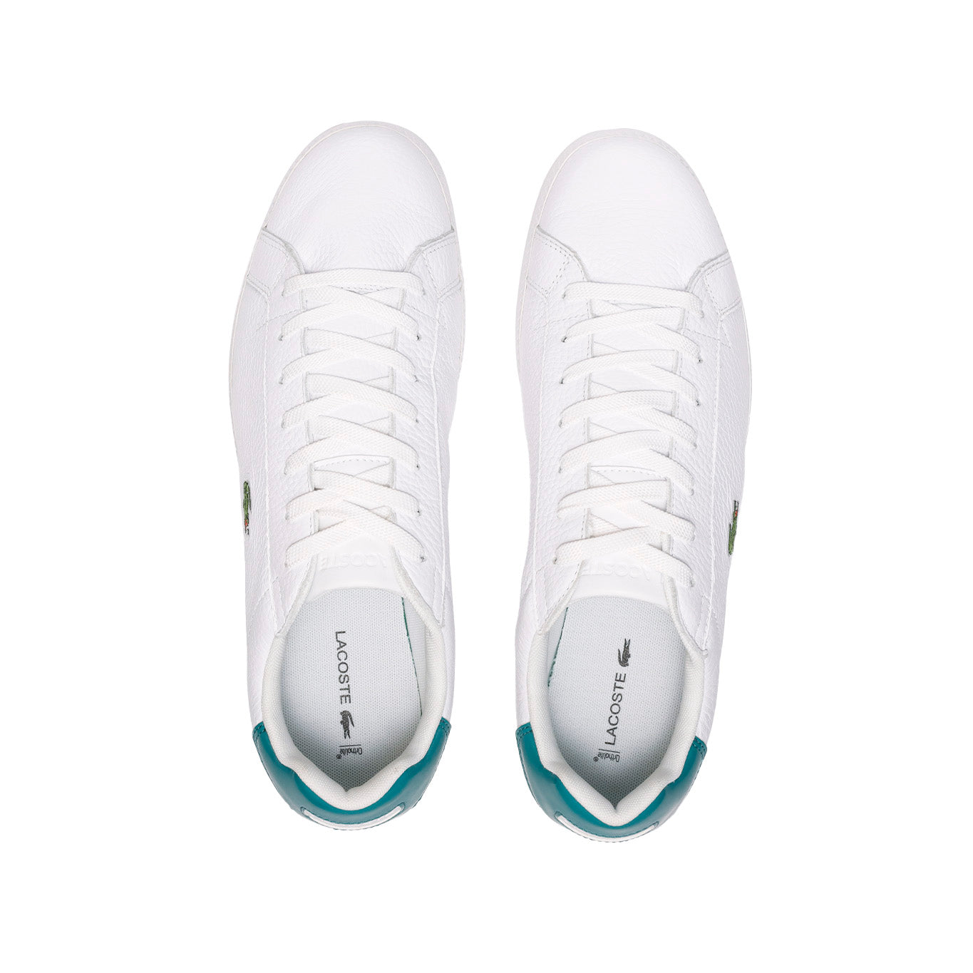 Tenis Lacoste Graduate
