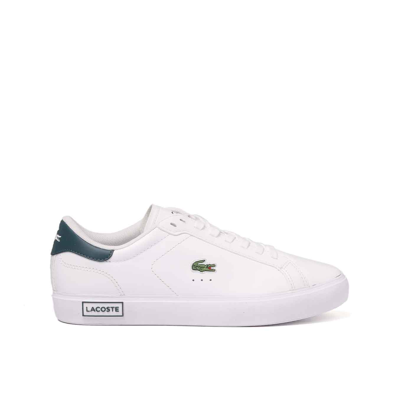 Tenis Lacoste Powercourt