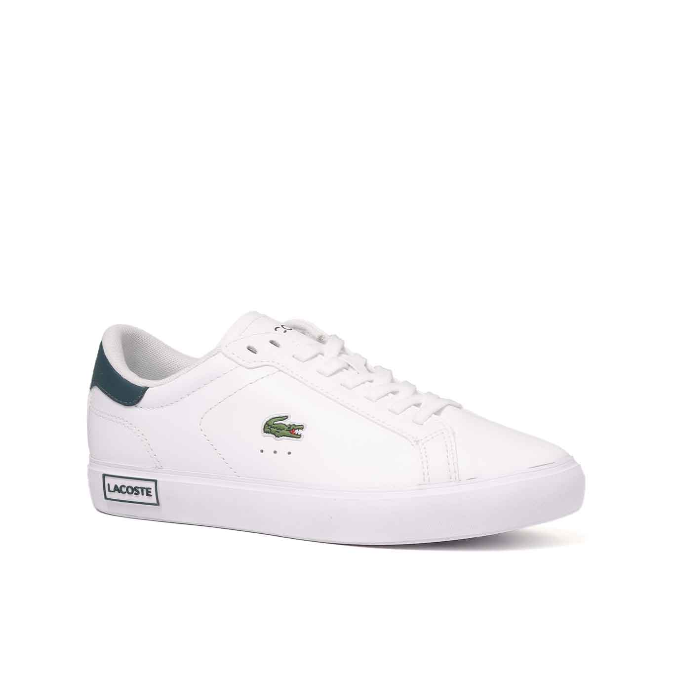 Tenis Lacoste Powercourt