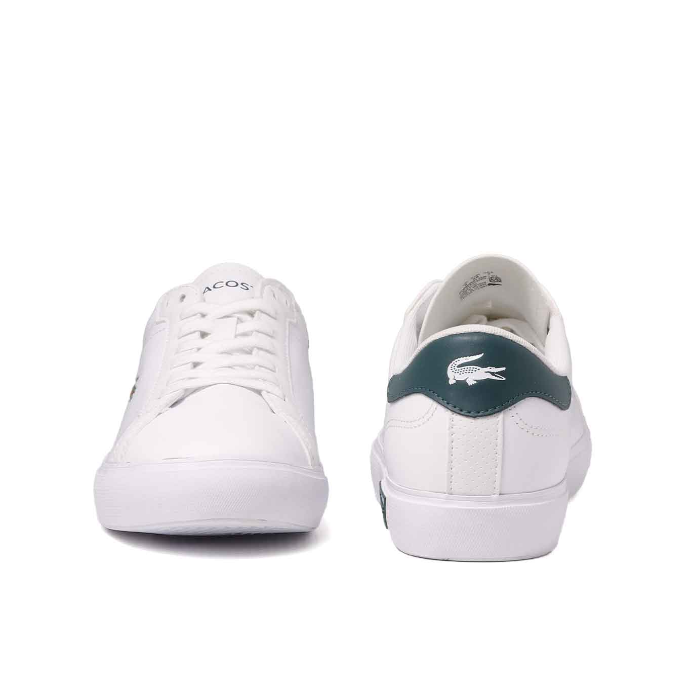 Tenis Lacoste Powercourt