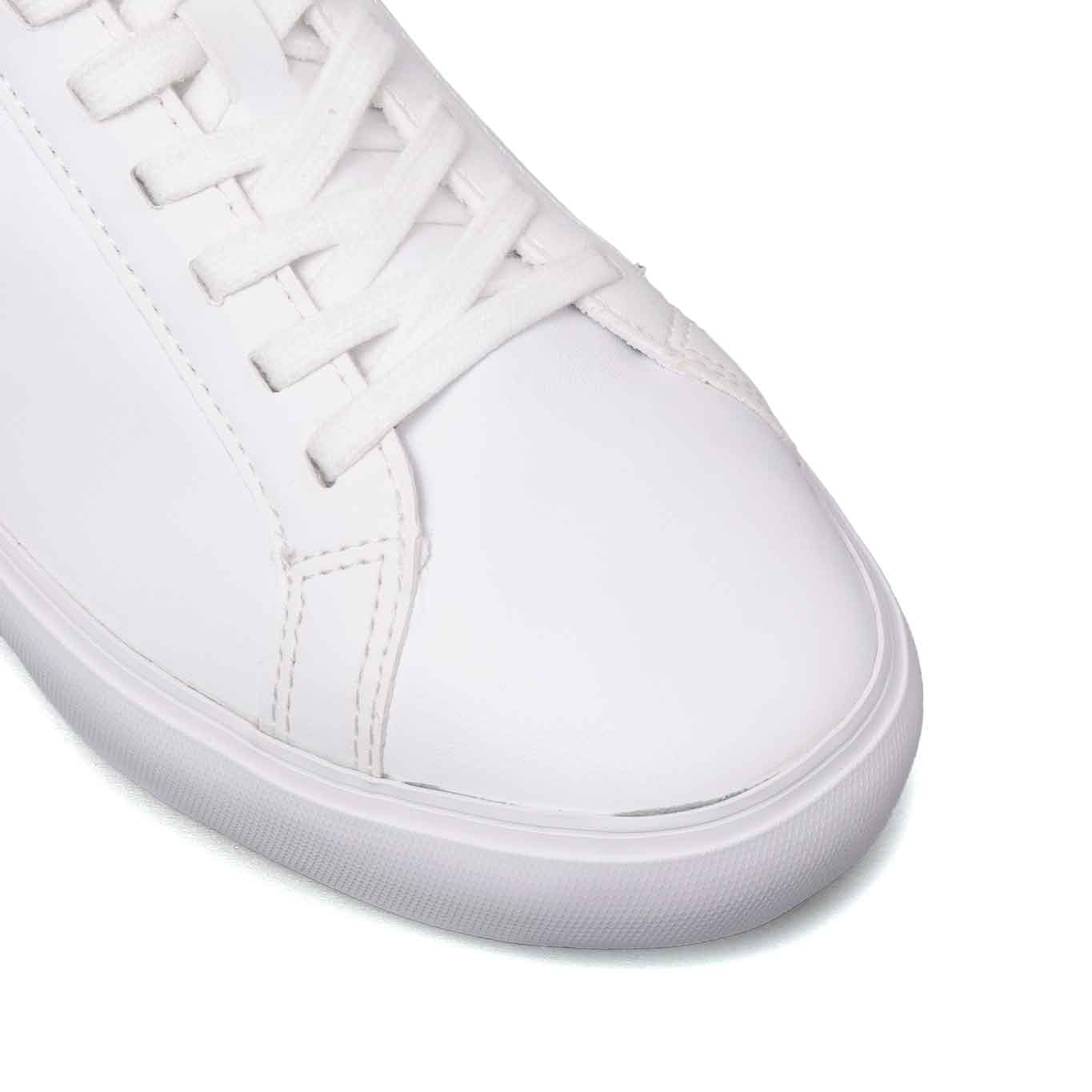 Tenis Lacoste Powercourt