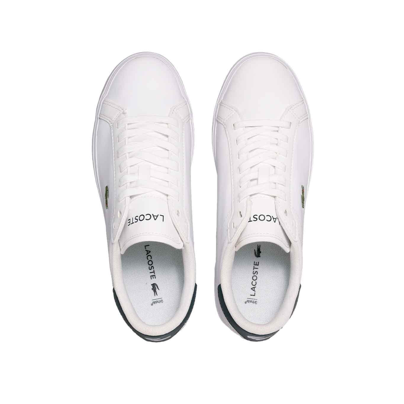 Tenis Lacoste Powercourt