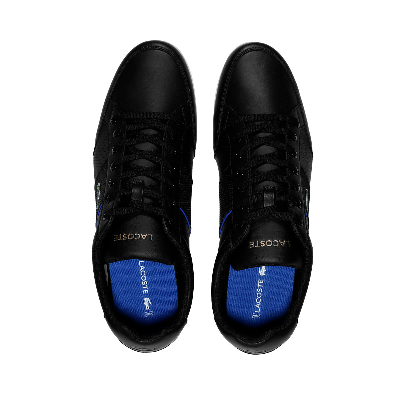 Tenis Lacoste Nivolor