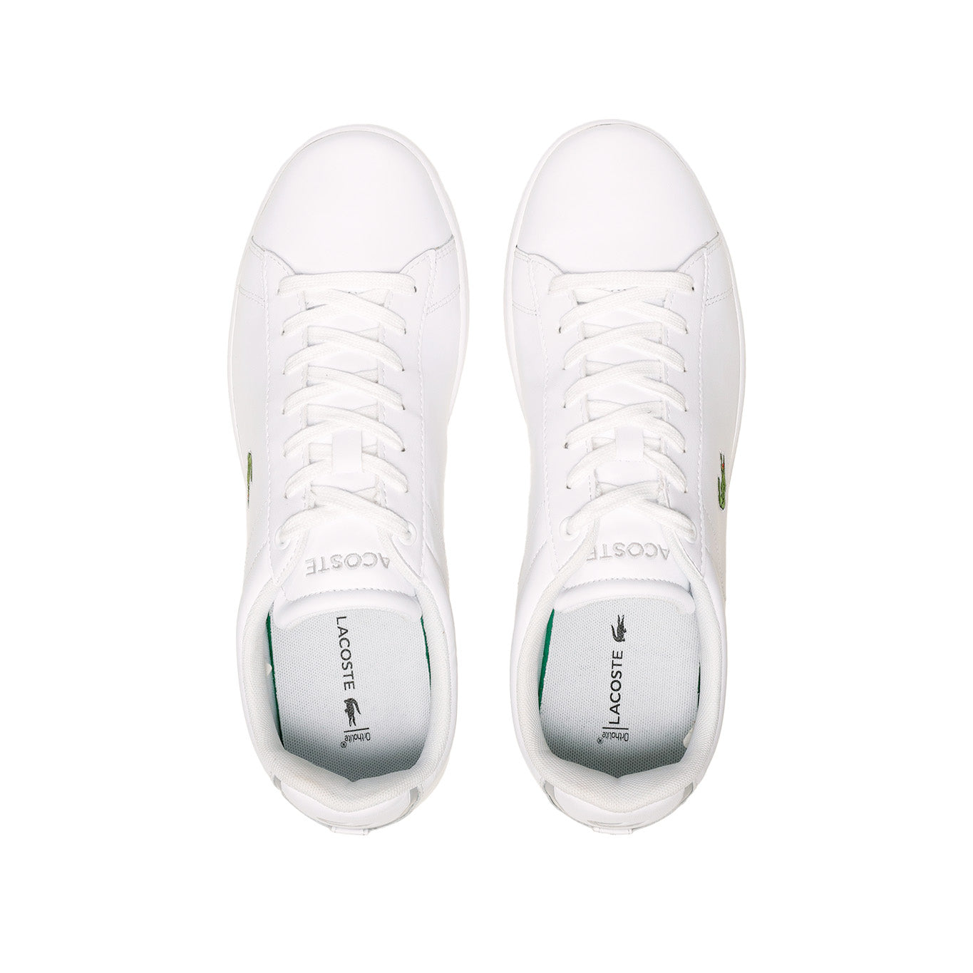 Tenis Lacoste Carnaby