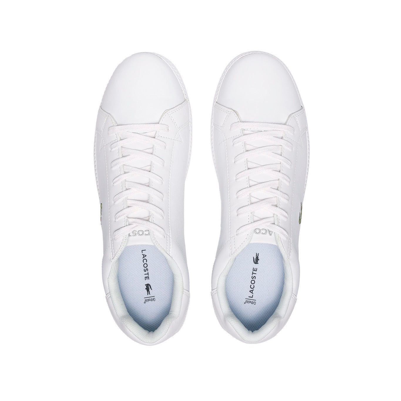 Tenis Lacoste Graduate