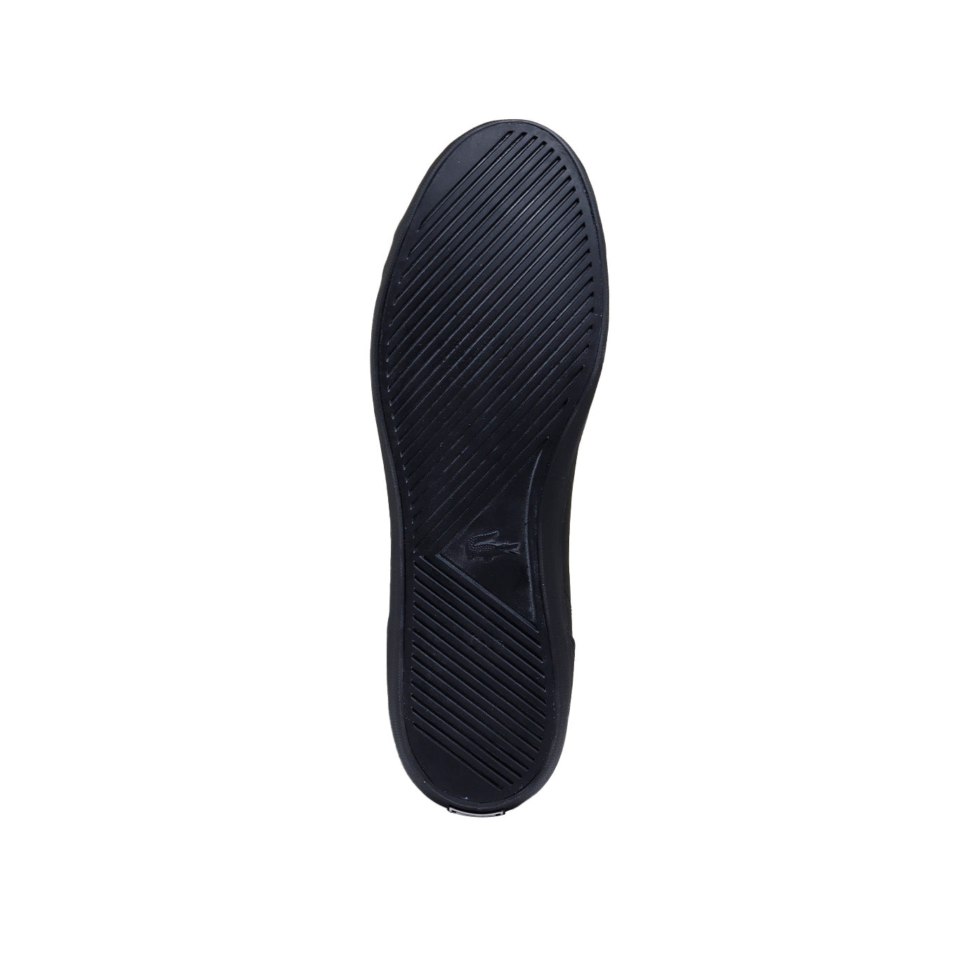 Tenis Lacoste Lerond