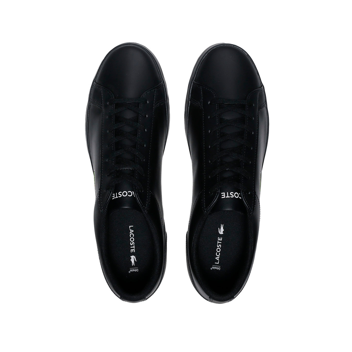 Tenis Lacoste Lerond