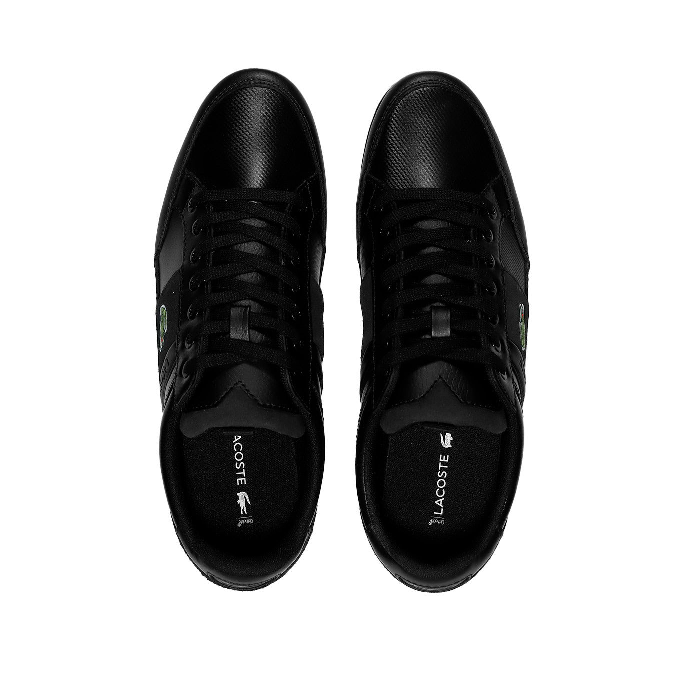 Tenis Lacoste Chaymon