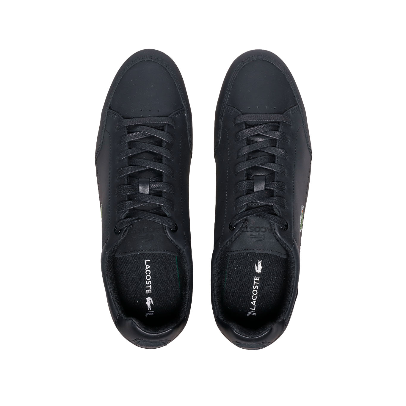 Tenis Lacoste Chaymon