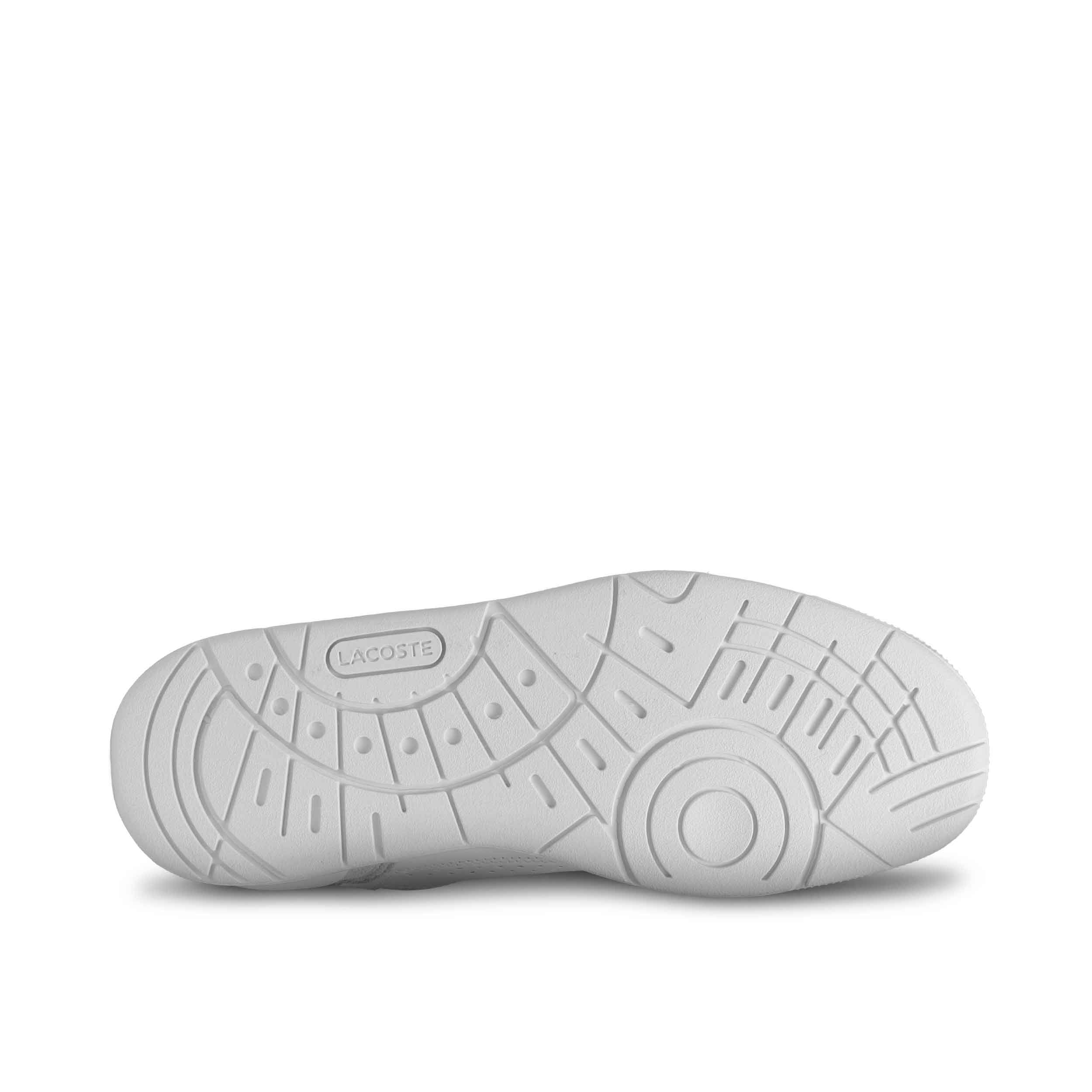 Tenis Lacoste Hombre