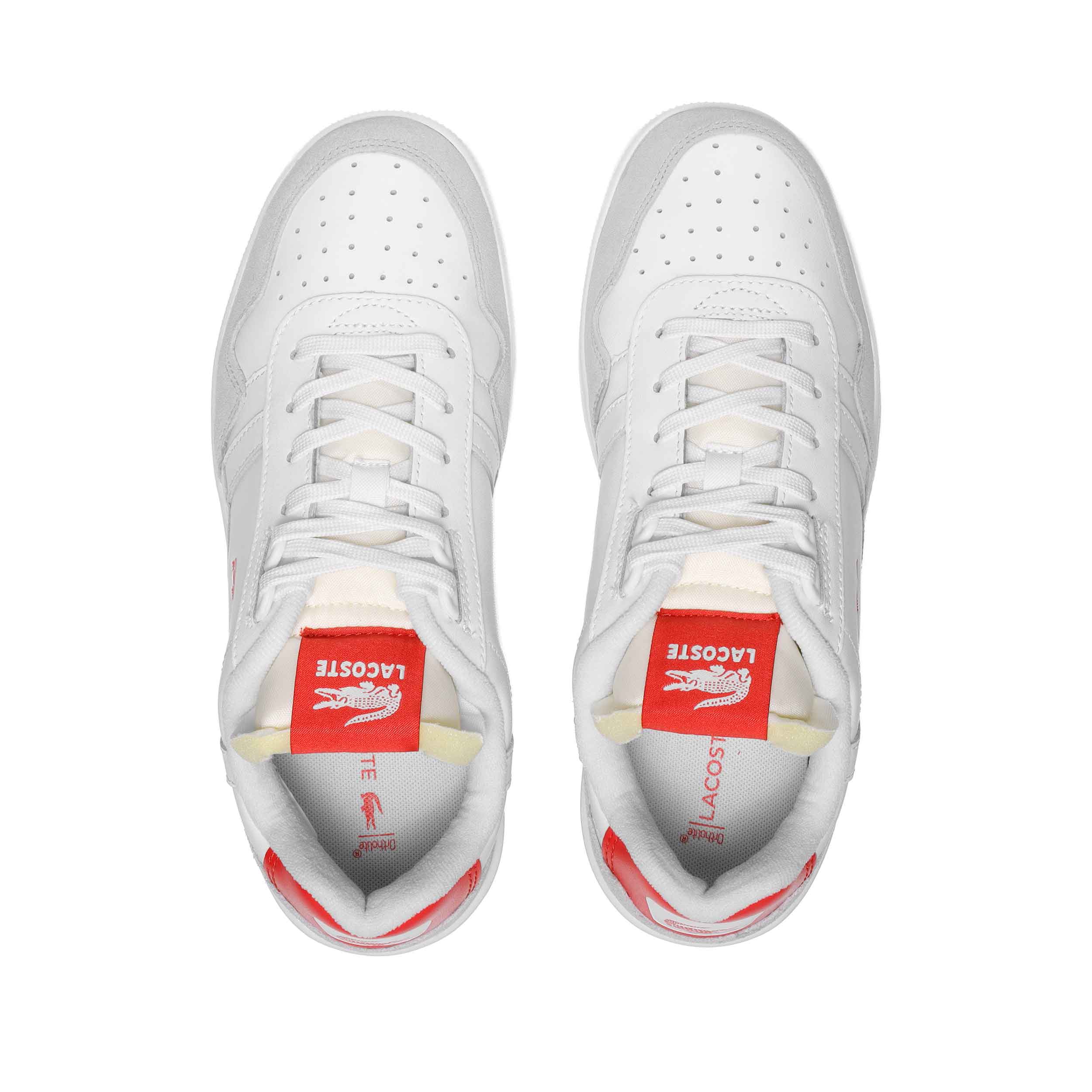 Tenis Lacoste Hombre
