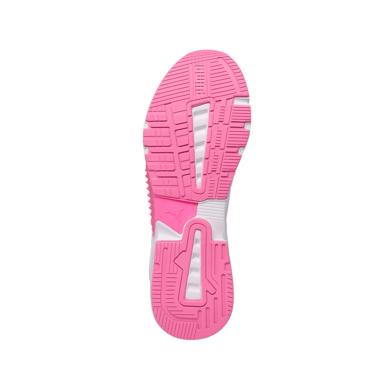 Tenis Puma Provoke XT