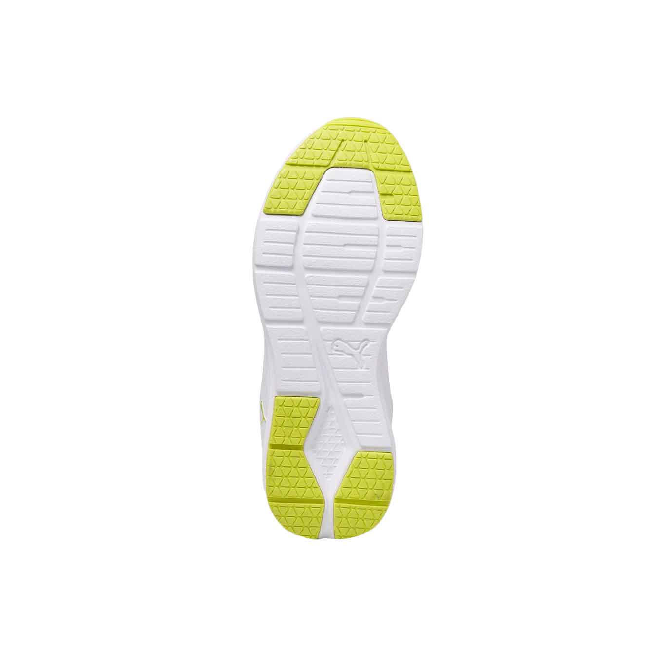 Tenis Puma Wired Run JR