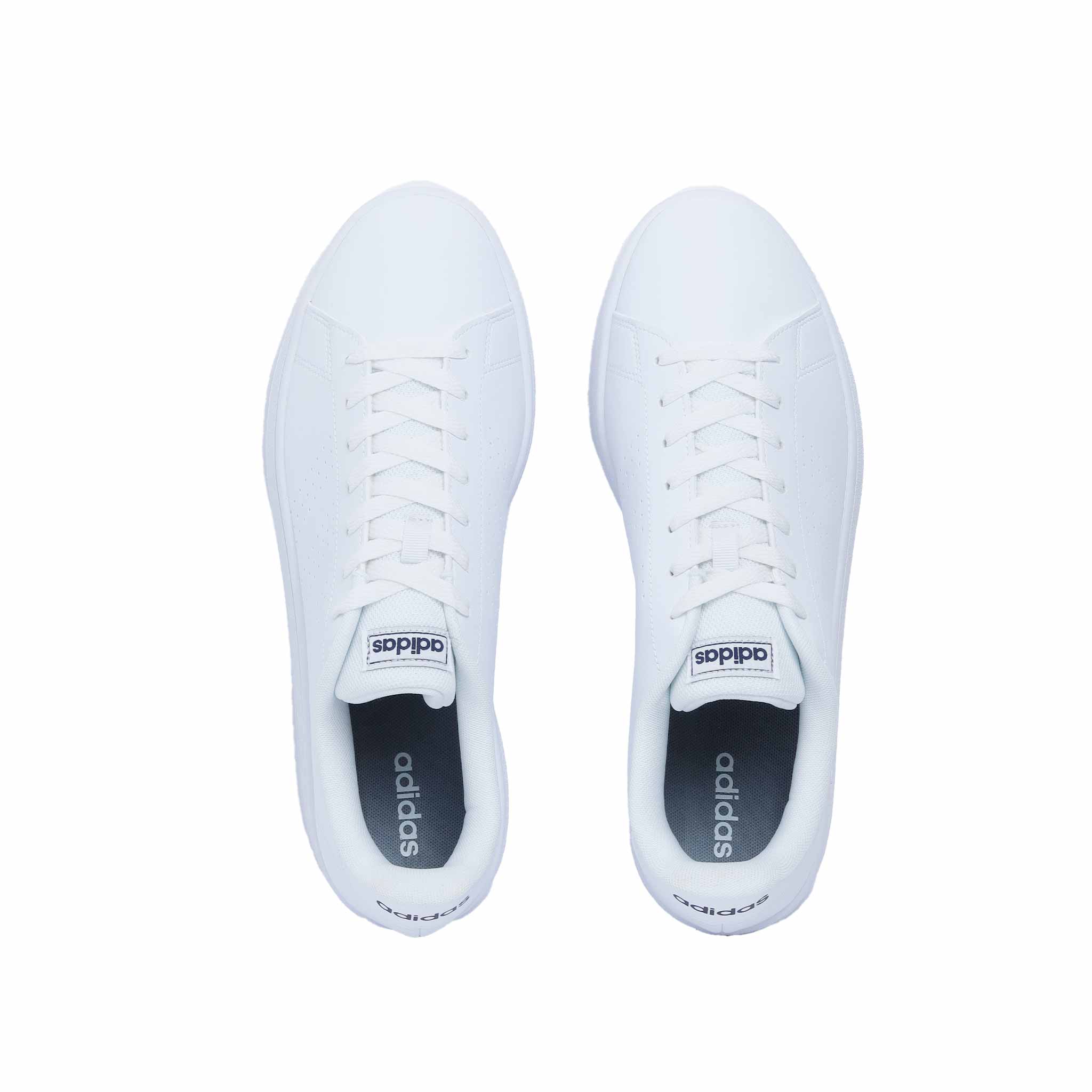 Tenis Adidas Advantage