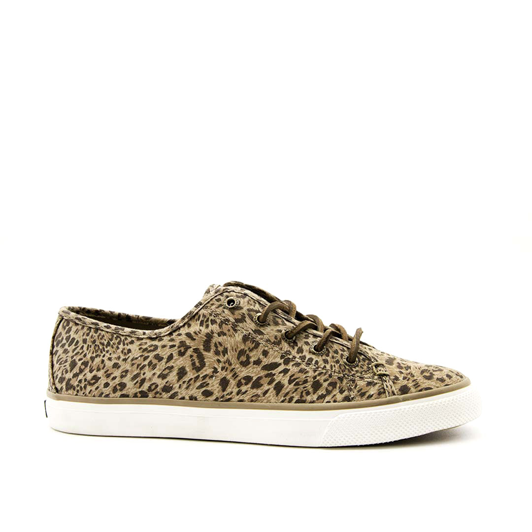 Tenis Sperry Seacoast Cheetah SPERRY TENNIS-Únicos Moderna