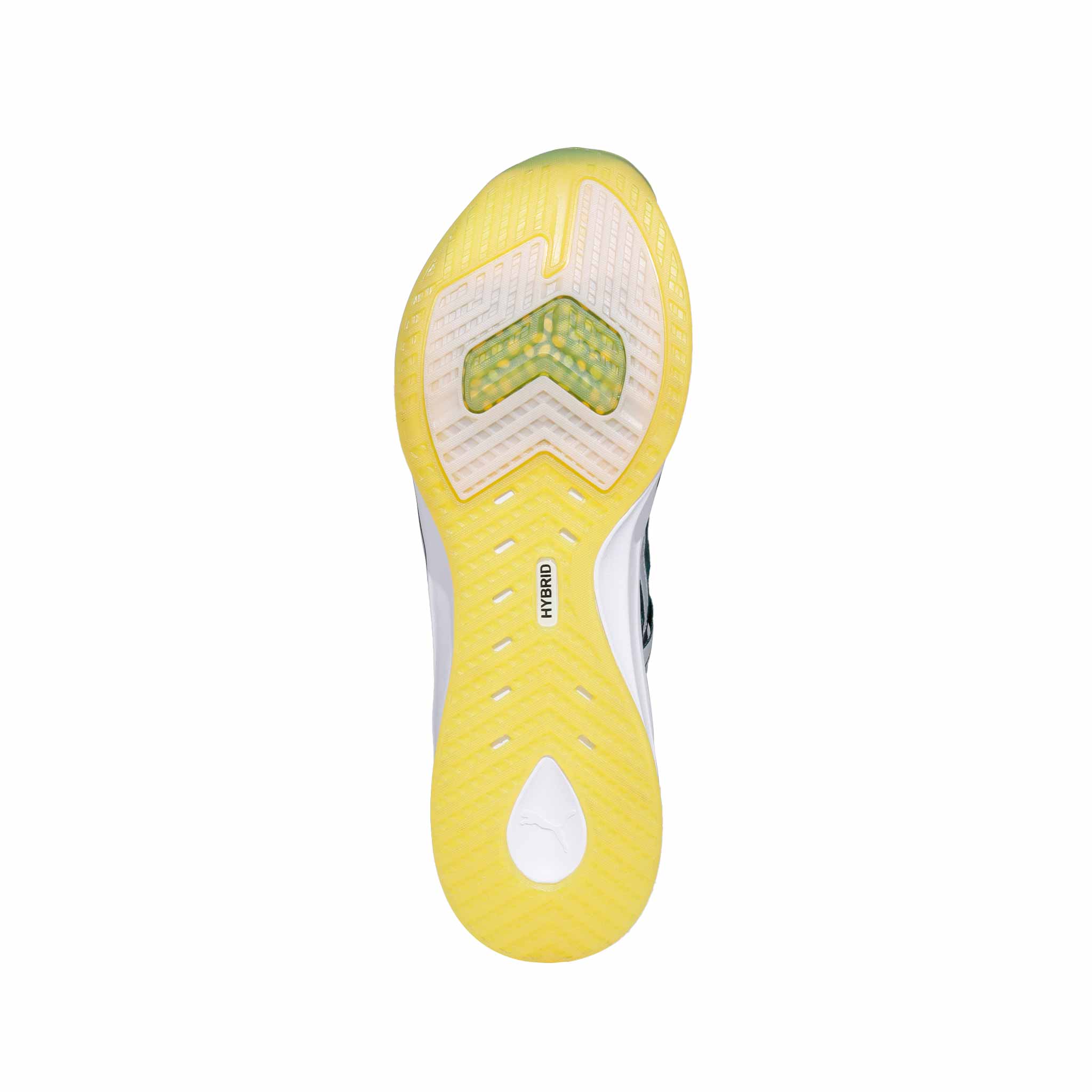 Tenis Puma XT TZ