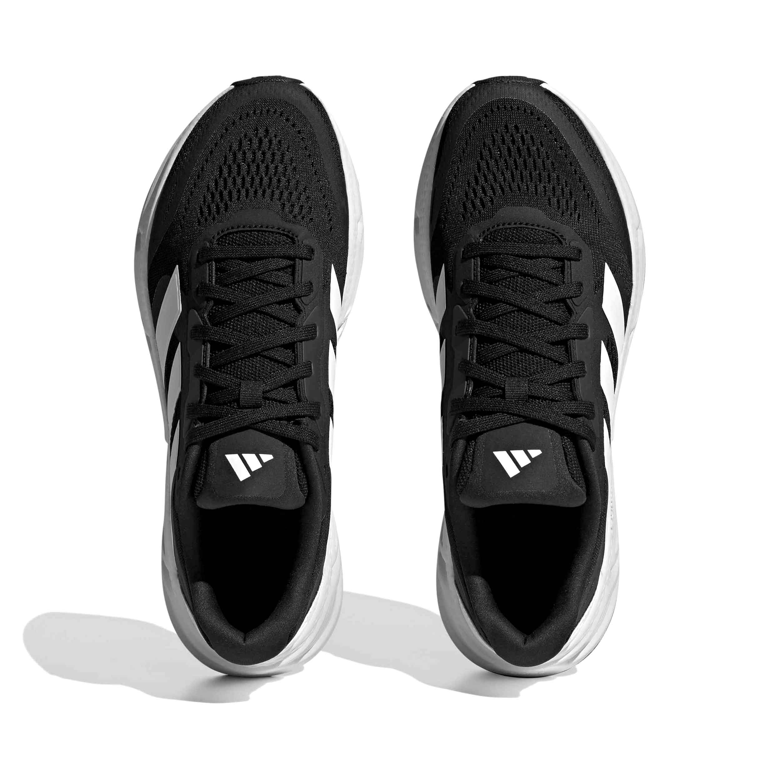 Tenis Adidas QUESTAR Hombre