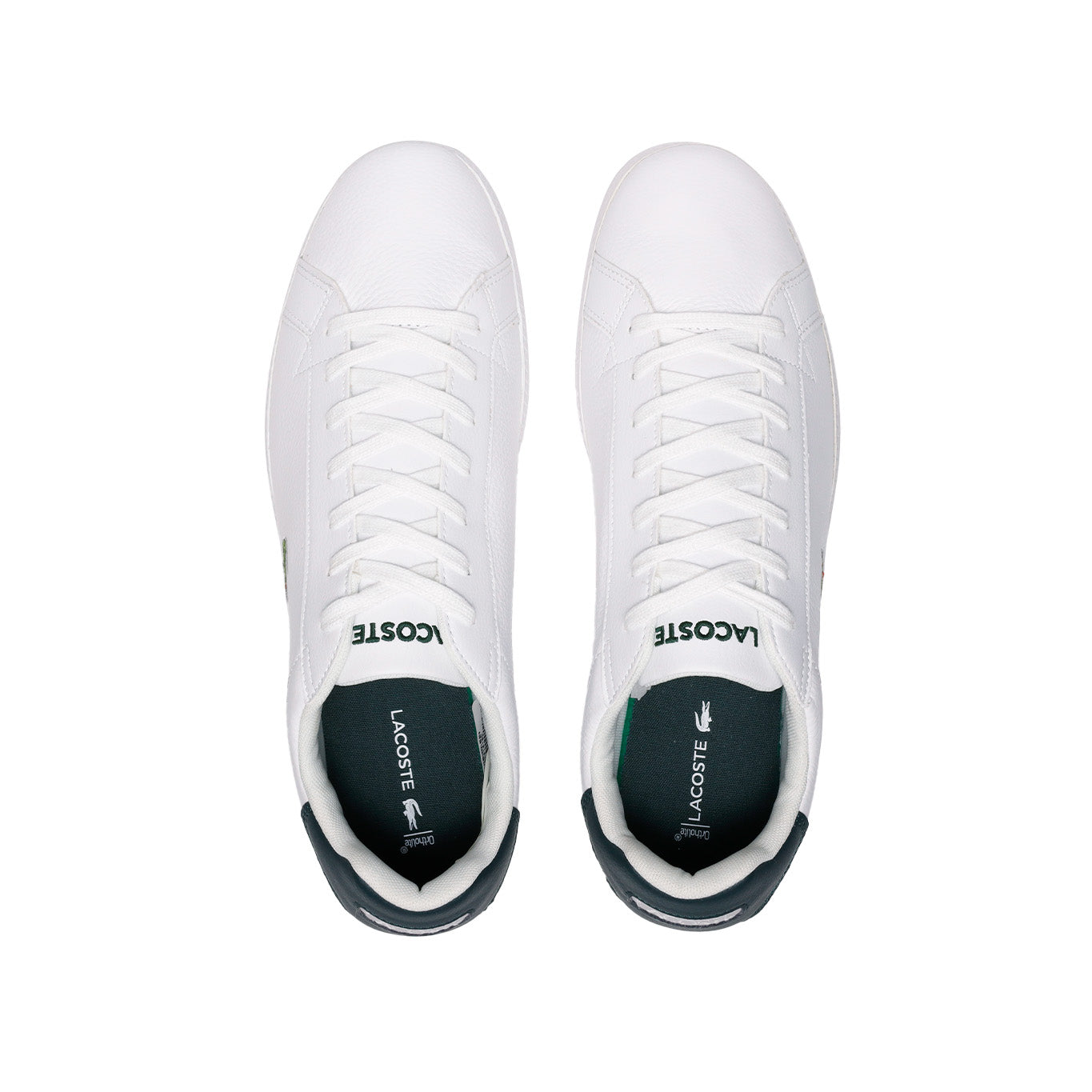 Tenis Lacoste Graduate