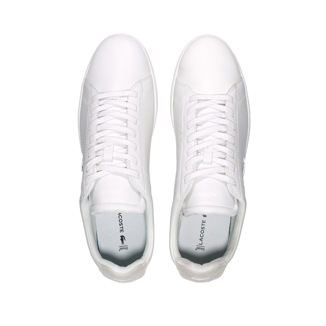 Tenis Lacoste Carnaby