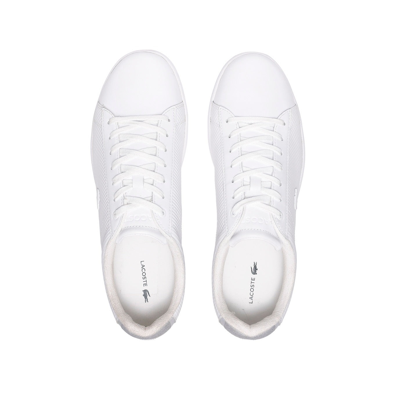 Tenis Lacoste Carnaby Evo