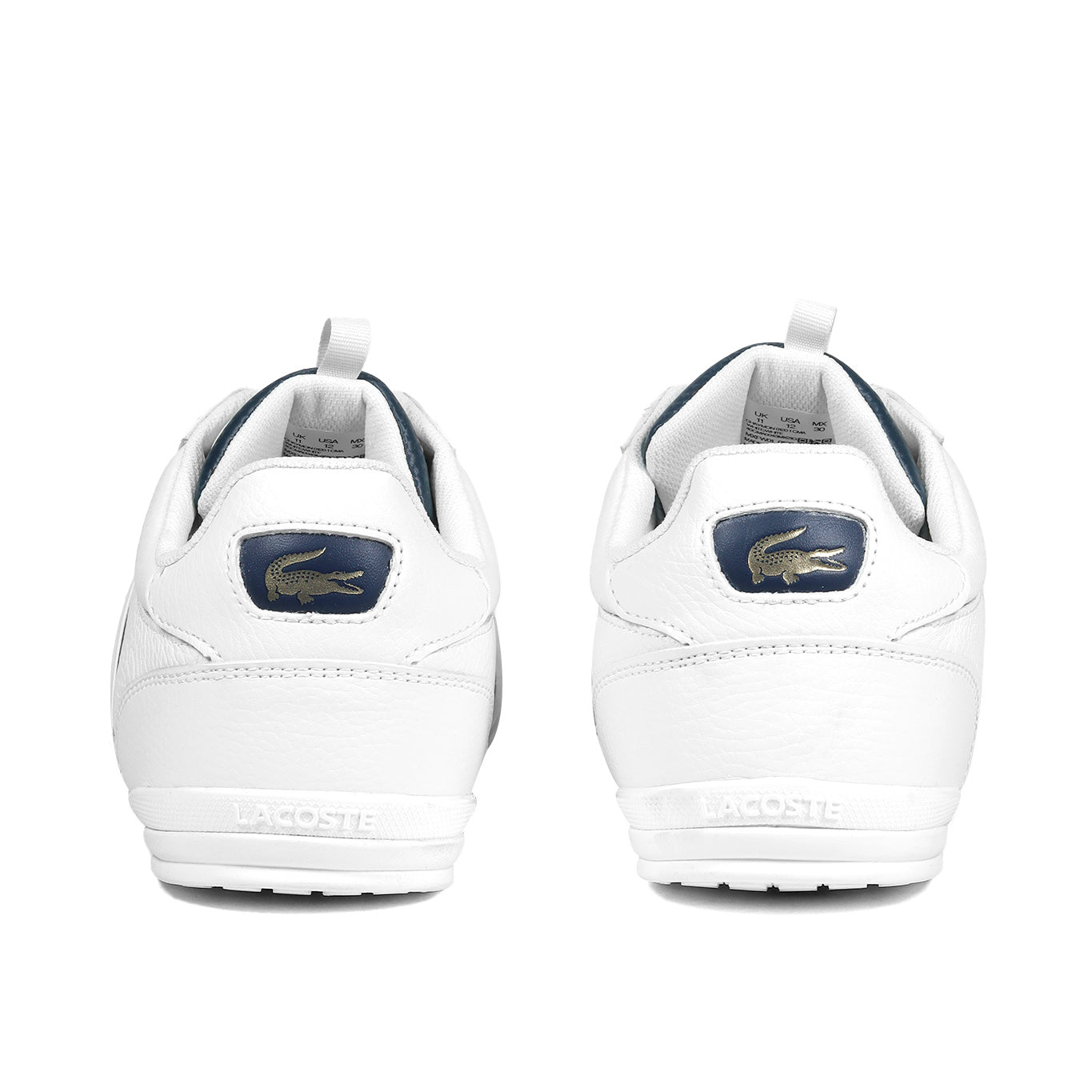 Tenis Lacoste Chaymon