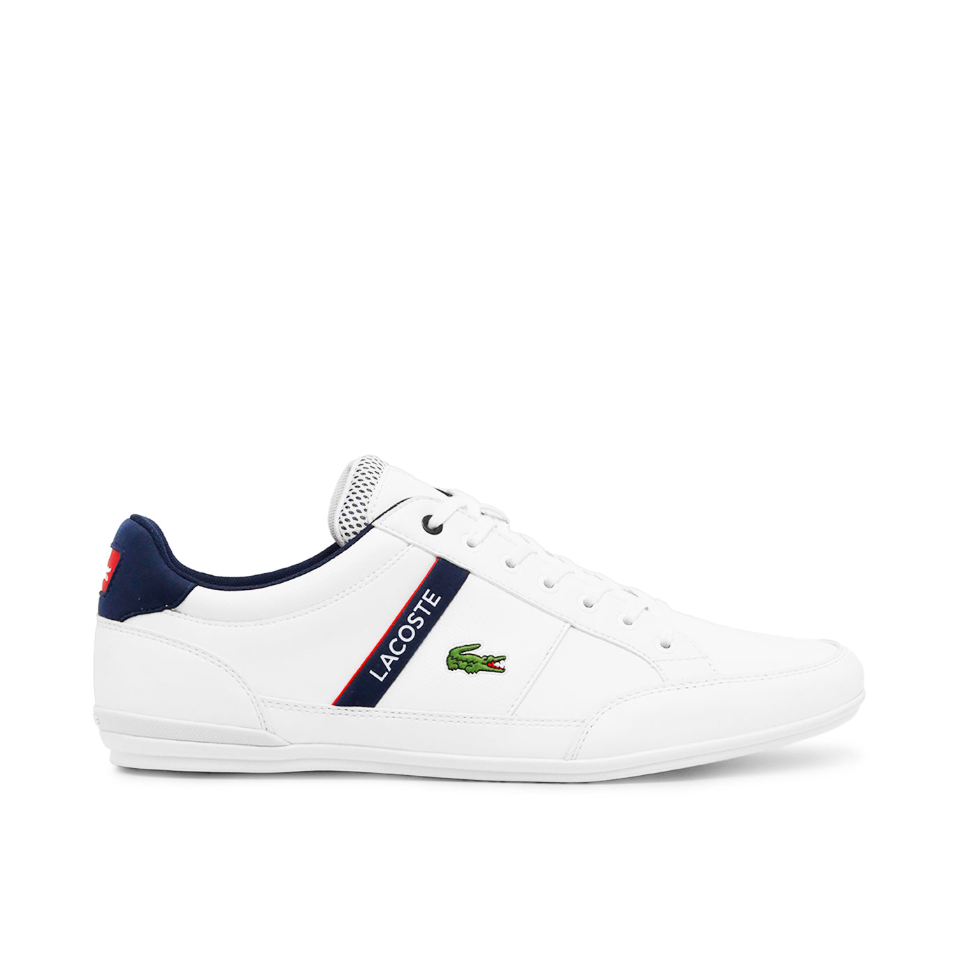 Tenis Lacoste Chaymon