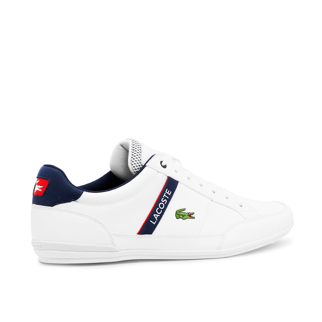 Tenis Lacoste Chaymon