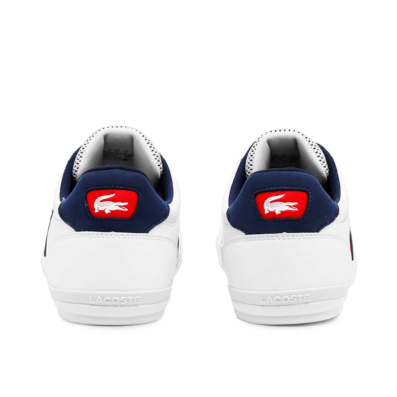 Tenis Lacoste Chaymon