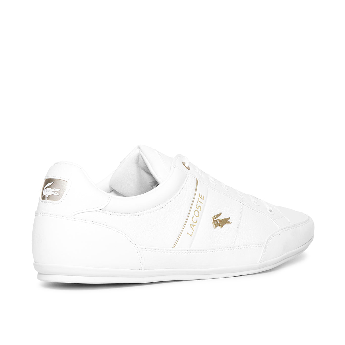 Tenis Lacoste Chaymon