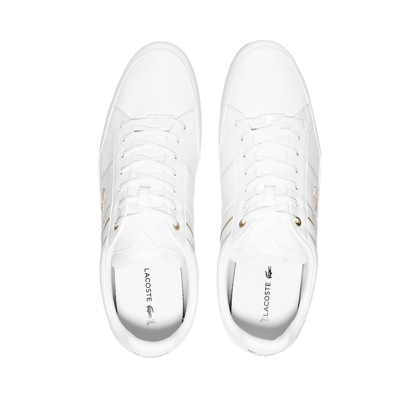 Tenis Lacoste Chaymon