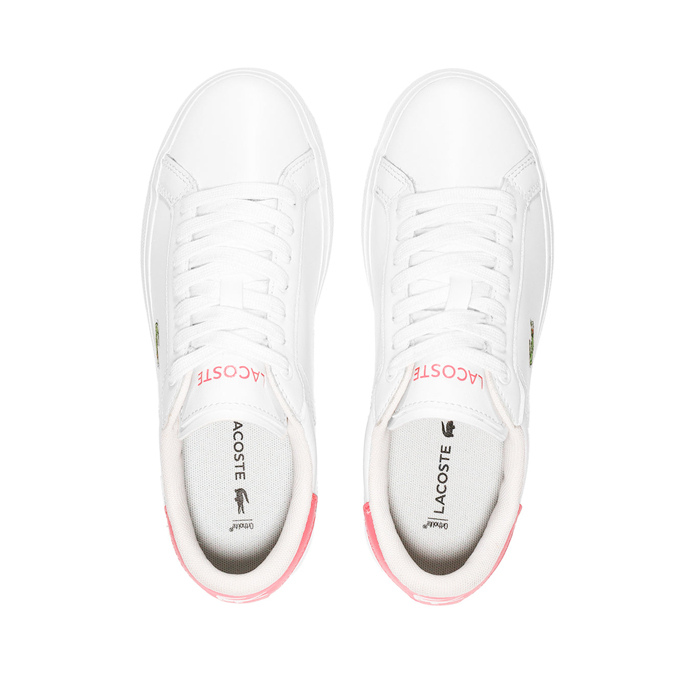 Tenis Lacoste Powercourt