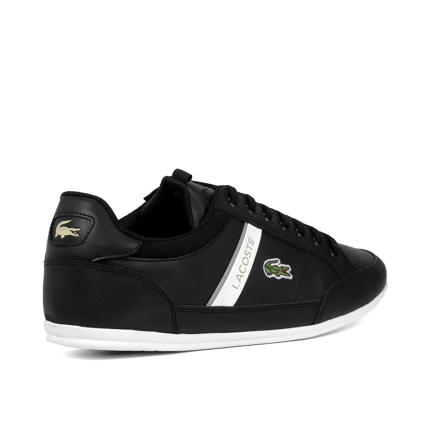 Tenis Lacoste Chaymon