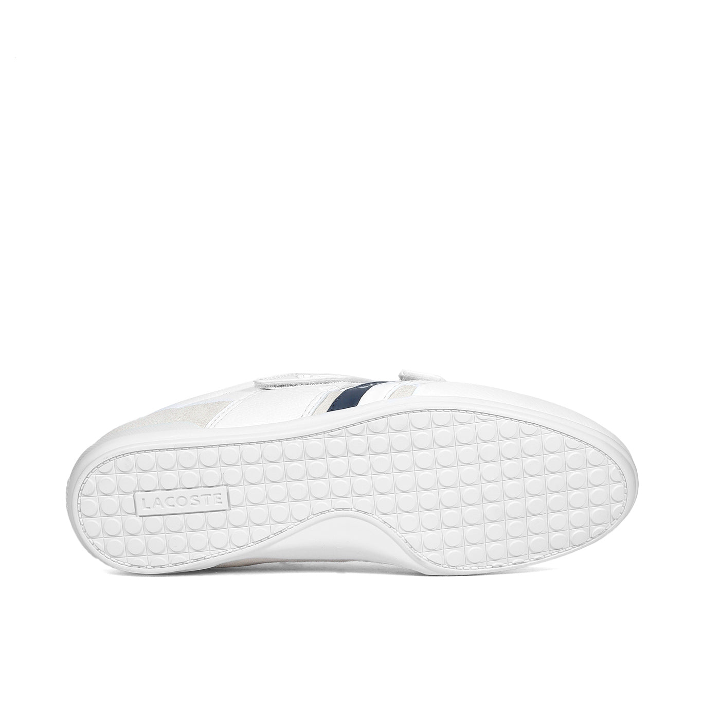 Tenis Lacoste Misano Strap