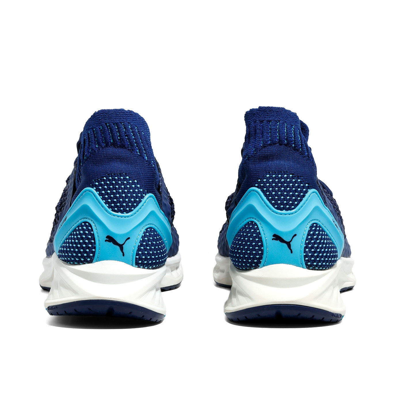 Tenis Puma Ignite Netfit